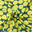 Green/Yellow