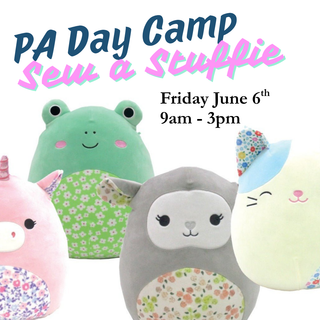 PA DAY - June 6th 9am - 3pm (7-14yo)